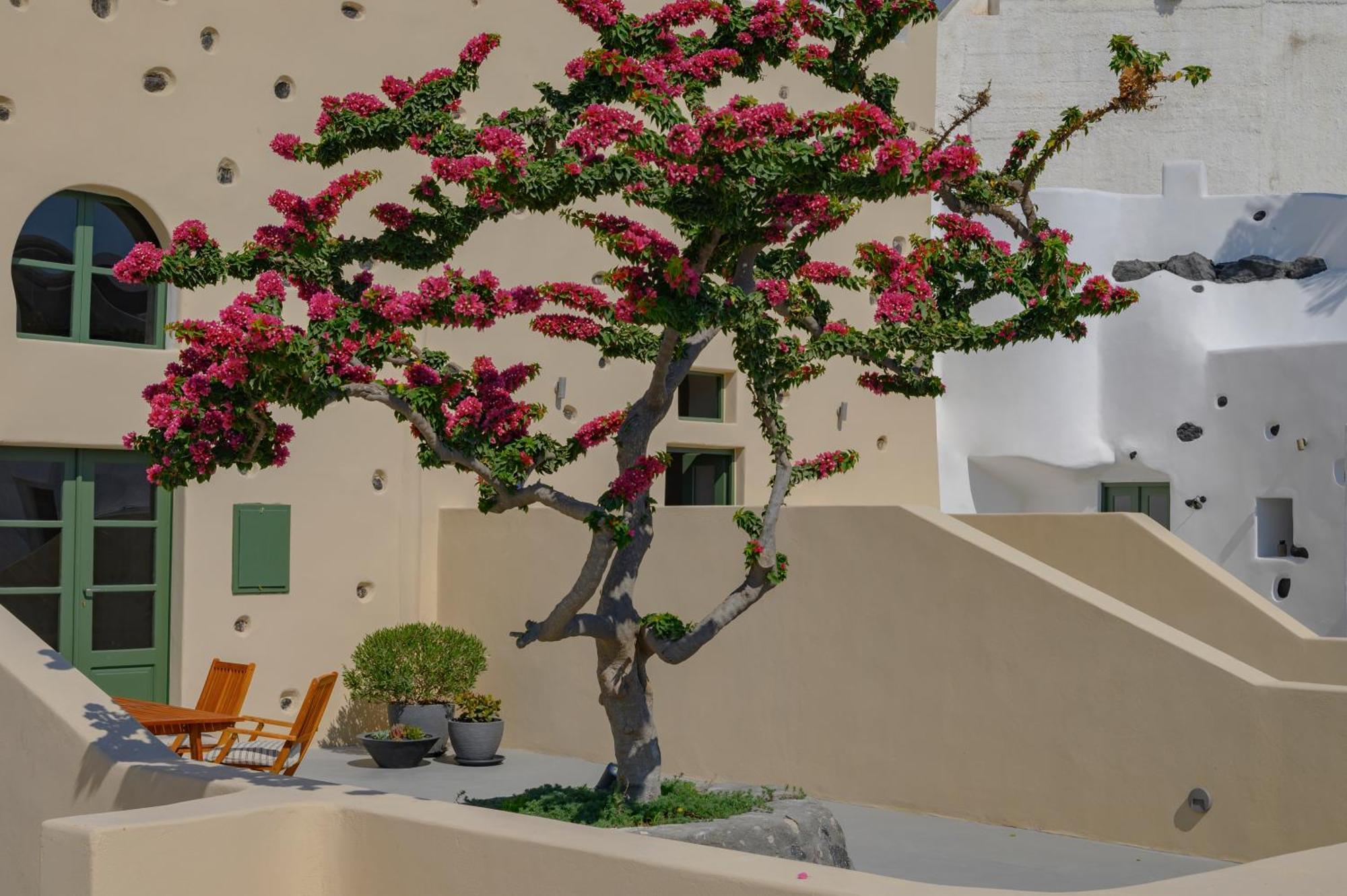 מגלוחורי Elements Cave Suites מראה חיצוני תמונה